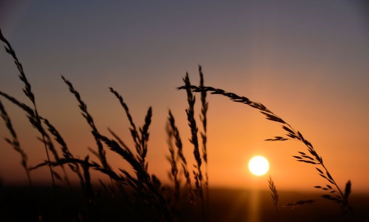Photography: ‘New Beginnings’ by Kirstien